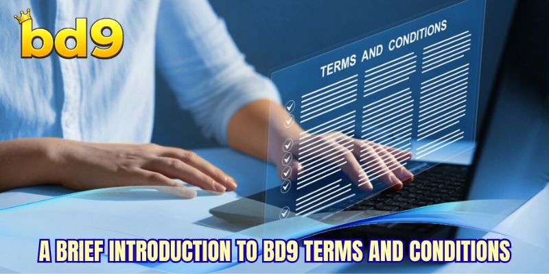 A brief introduction to BD9 Terms and Conditions