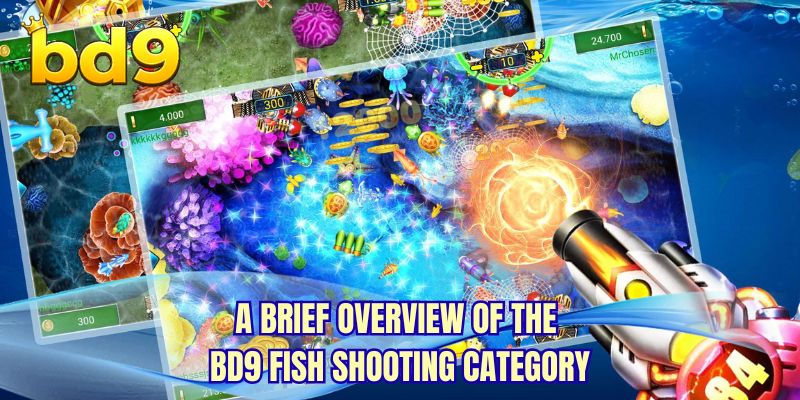 A brief overview of the BD9 Fish Shooting category