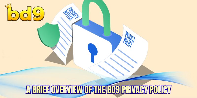 A brief overview of the BD9 Privacy Policy