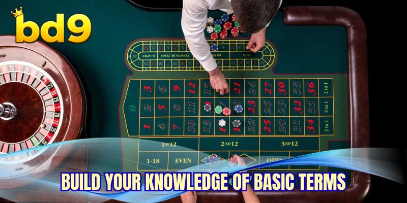 Build your knowledge of basic terms