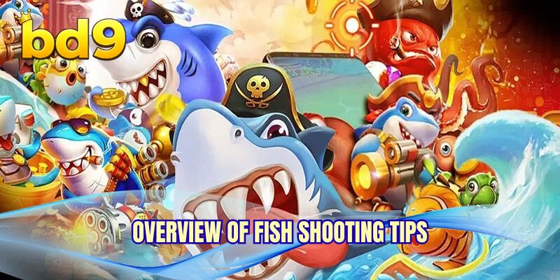 Overview of Fish Shooting Tips
